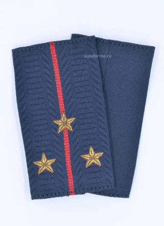 МВД, Полиции