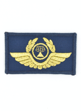 Шеврон факультет службы движения ГА Шеврон факультет службы движения ГА