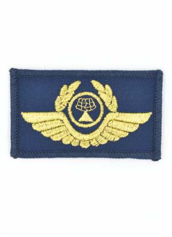 Шеврон факультет службы движения ГА